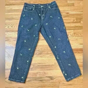 BDG By Urban Outfitters Embroidered High Waisted Jeans  Size 32